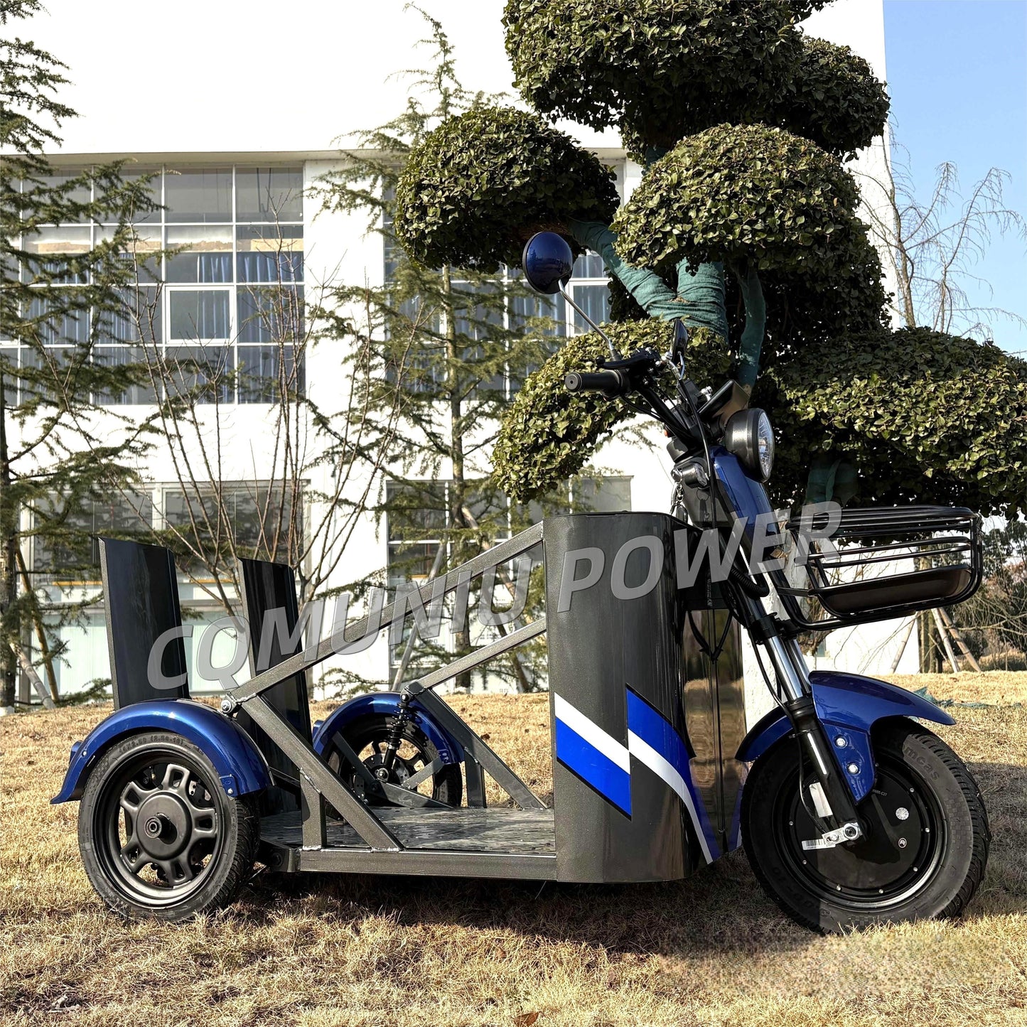 MN-WS01 800W Electric Tricycle with Wheelchair Platform