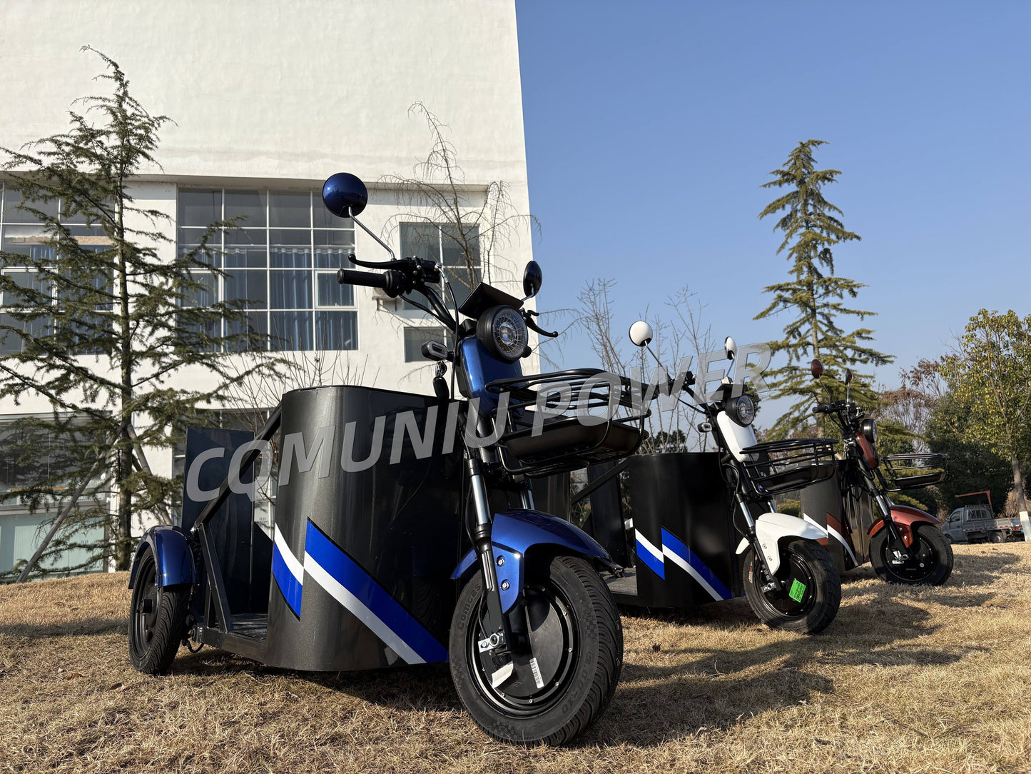 MN-WS01 800W Electric Tricycle with Wheelchair Platform