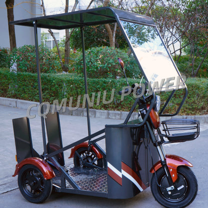 MN-WS01 800W Electric Tricycle with Wheelchair Platform