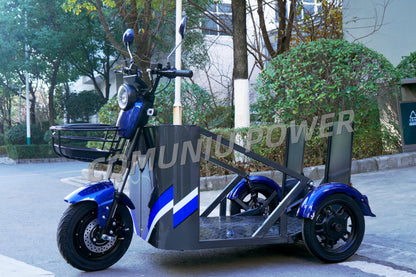 MN-WS01 800W Electric Tricycle with Wheelchair Platform