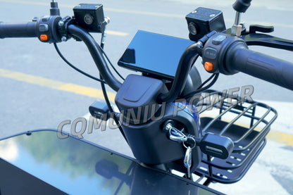 MN-WS01 800W Electric Tricycle with Wheelchair Platform