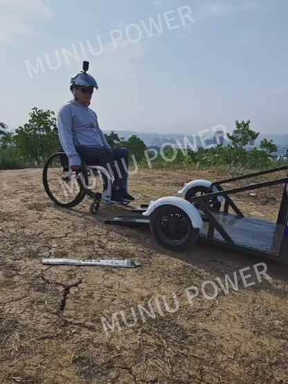 MN-WS01 800W Electric Tricycle with Wheelchair Platform