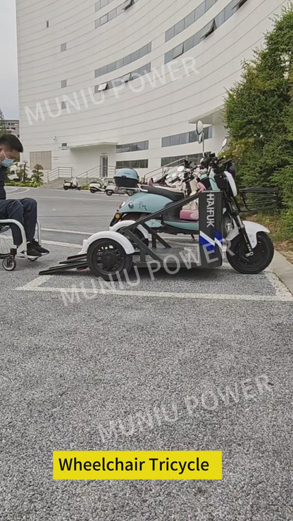 MN-WS01 800W Electric Tricycle with Wheelchair Platform